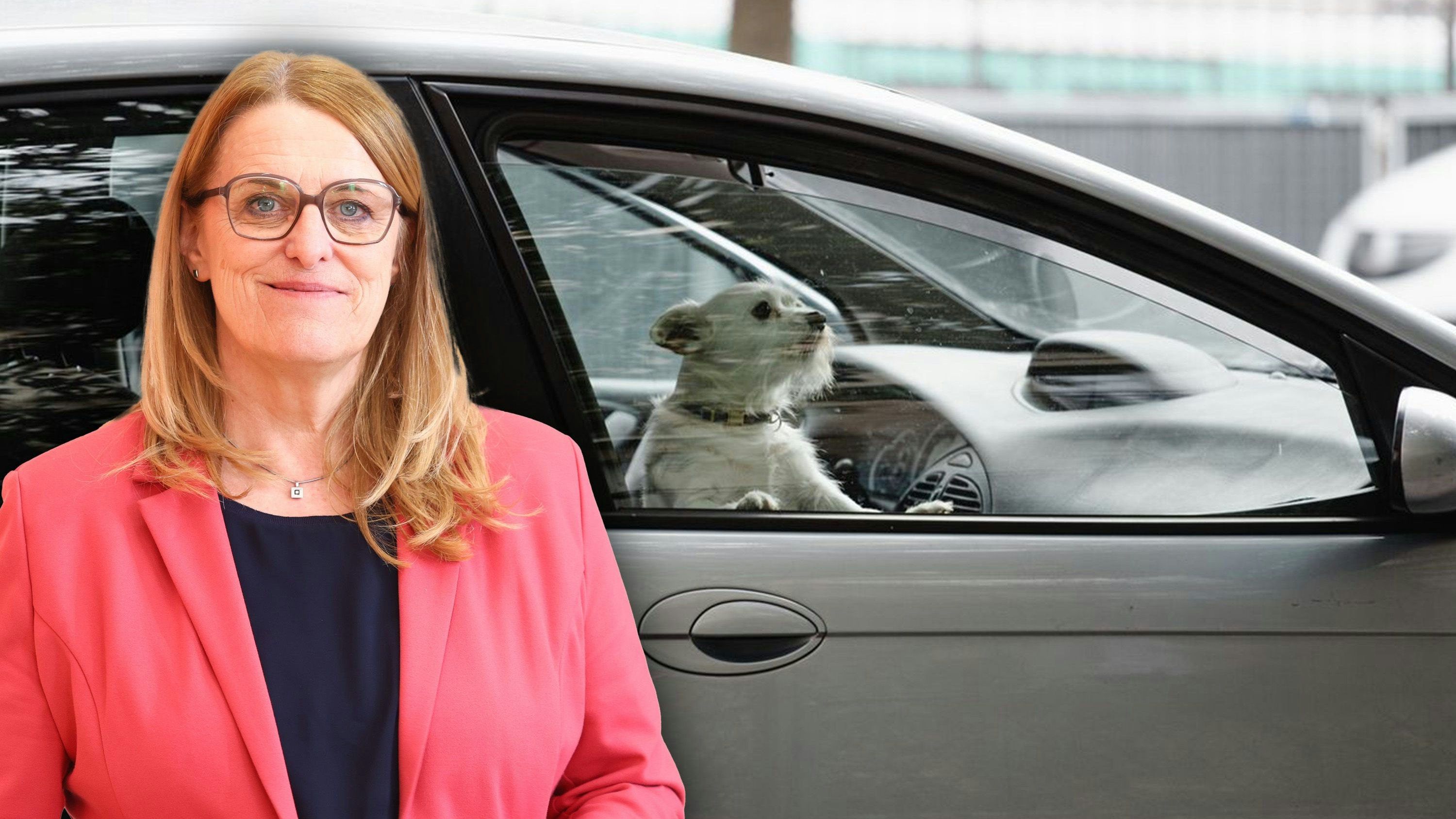 Heute.at - Risiko nicht wert: SPÖ-Lady kämpft gegen Tierleid