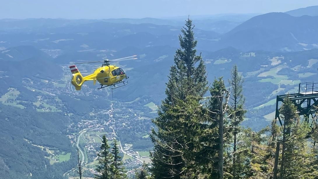 Heute.at - Kreuzotter-Biss – Mann per Heli ins Spital geflogen