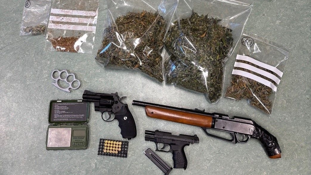 Heute.at - Polizei stieß durch Zufall auf Cannabisplantage