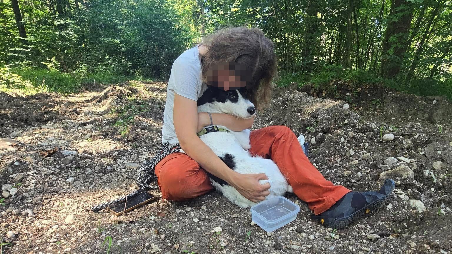 Heute.at - Hündin verschwindet, Besitzerin schläft 9 Tage im Wald