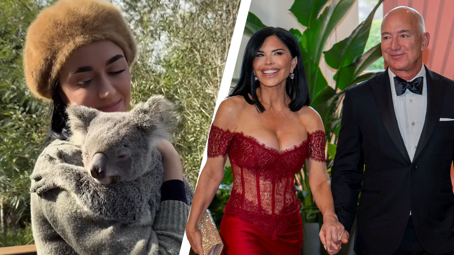 Heute.at - Katy Perry schwänzt Hochzeit – geht lieber in den Zoo