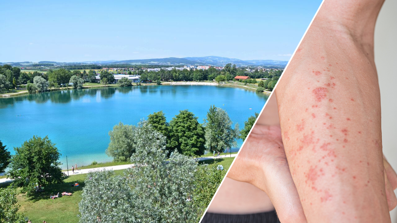 Heute.at - Badende alarmiert: Diese Gefahr lauert in beliebtem See