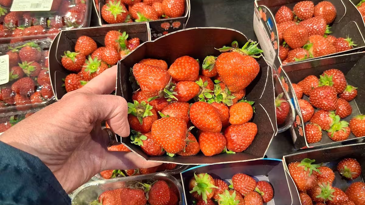 Heute.at - Beeren umsortieren: Dreist, verboten oder völlig normal