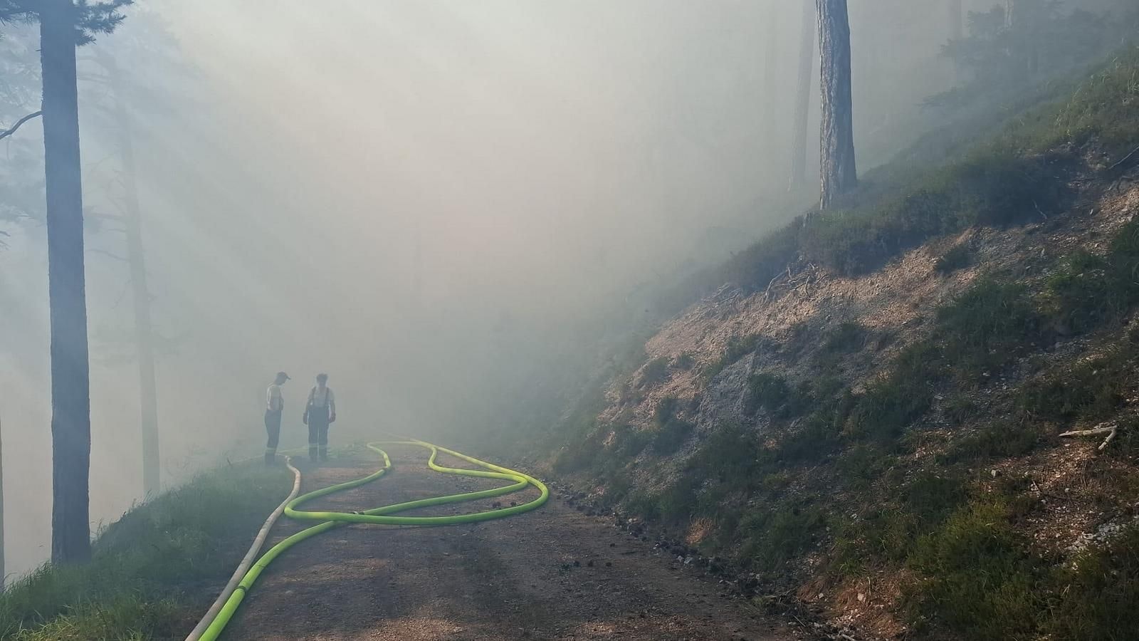 Heute.at - Waldbrand: 300 Florianis und drei Helis bekämpfen Feuer