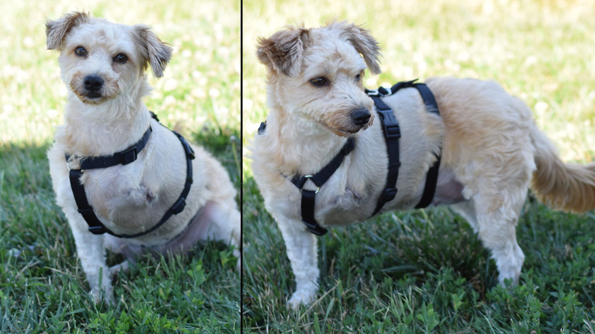 Die kleine Maya war ein besonders armer Knopf.