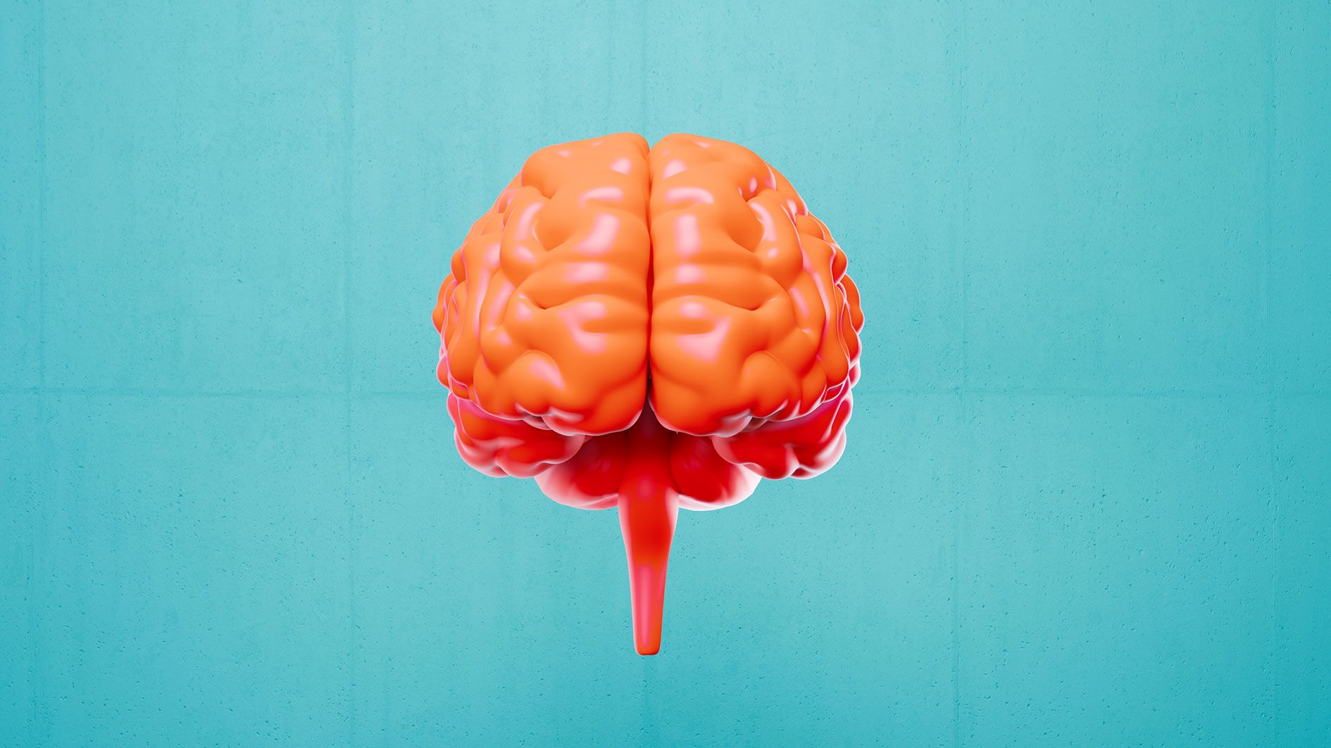 Wer eine höhere Theta-Konnektivität im Hirn aufweist, könnte intelligenter sein.