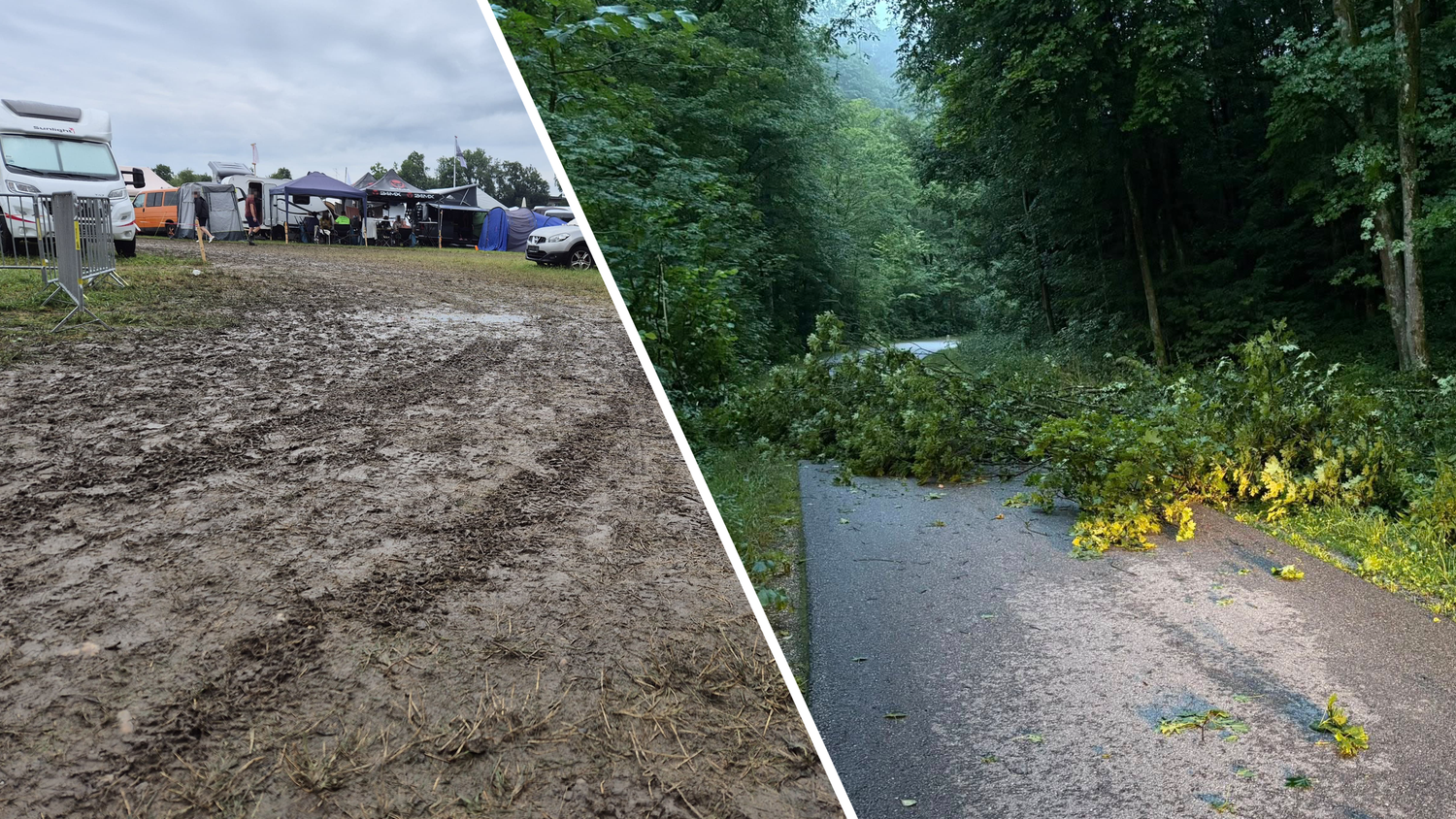 Heute.at - Unwetter-Chaos! Festival evakuiert, Bäume umgestürzt
