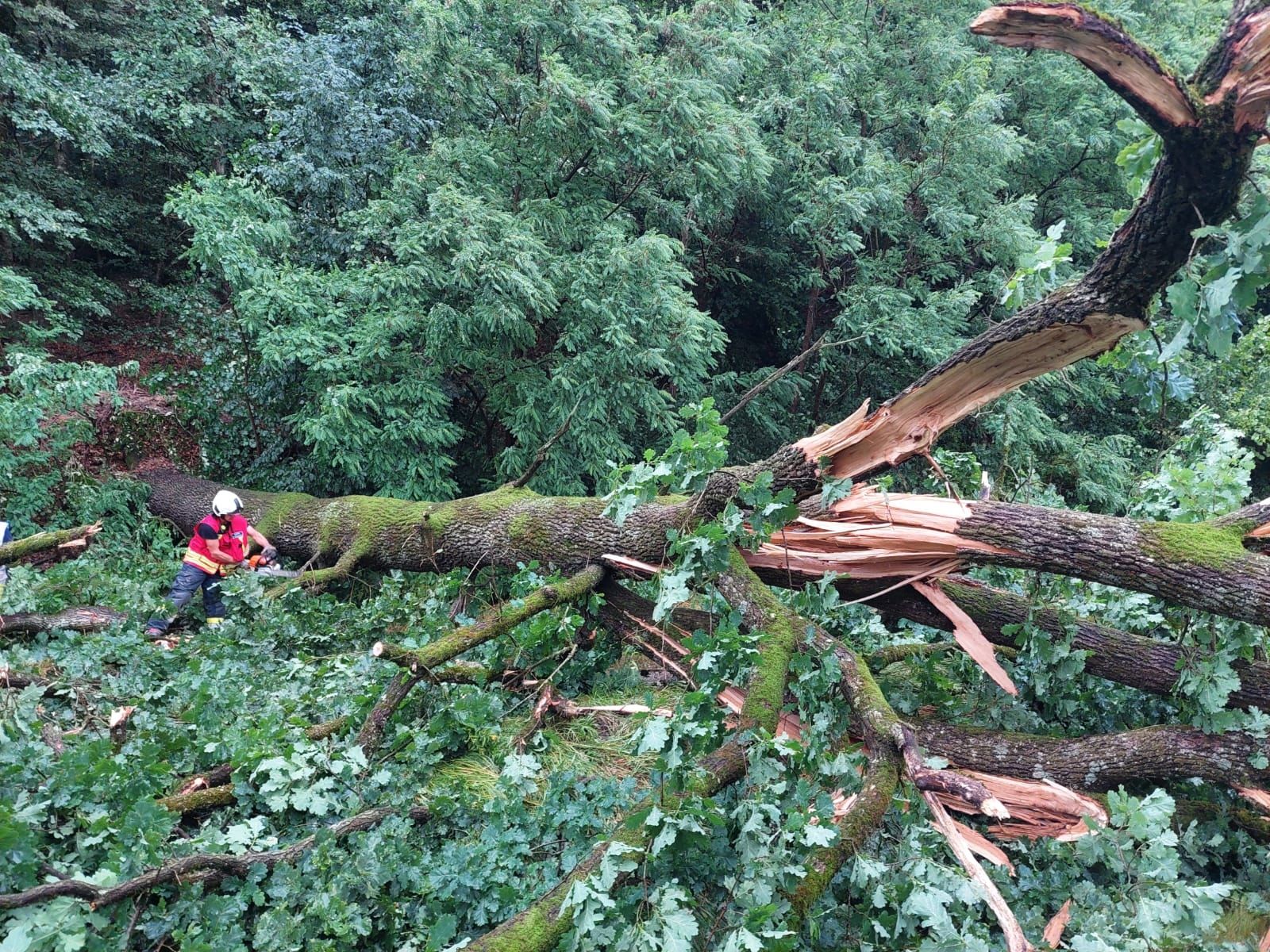 Die Feuerwehr Nestelbach stand mit allen Mitteln im Einsatz.