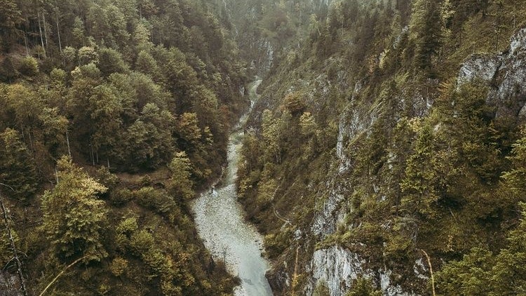 Heute.at - Wanderer (39) rutscht aus, stürzt 20 Meter in Schlucht