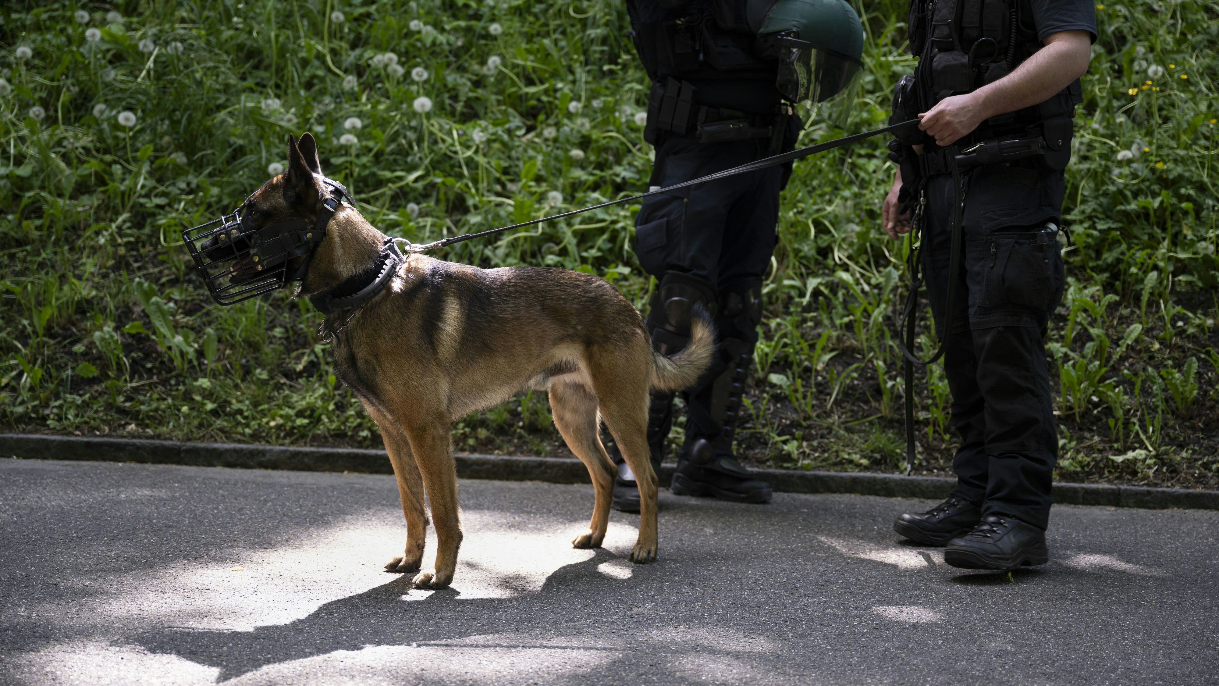 Heute.at - Im Wald verirrt - Suchaktion nach Pensionistin (85)