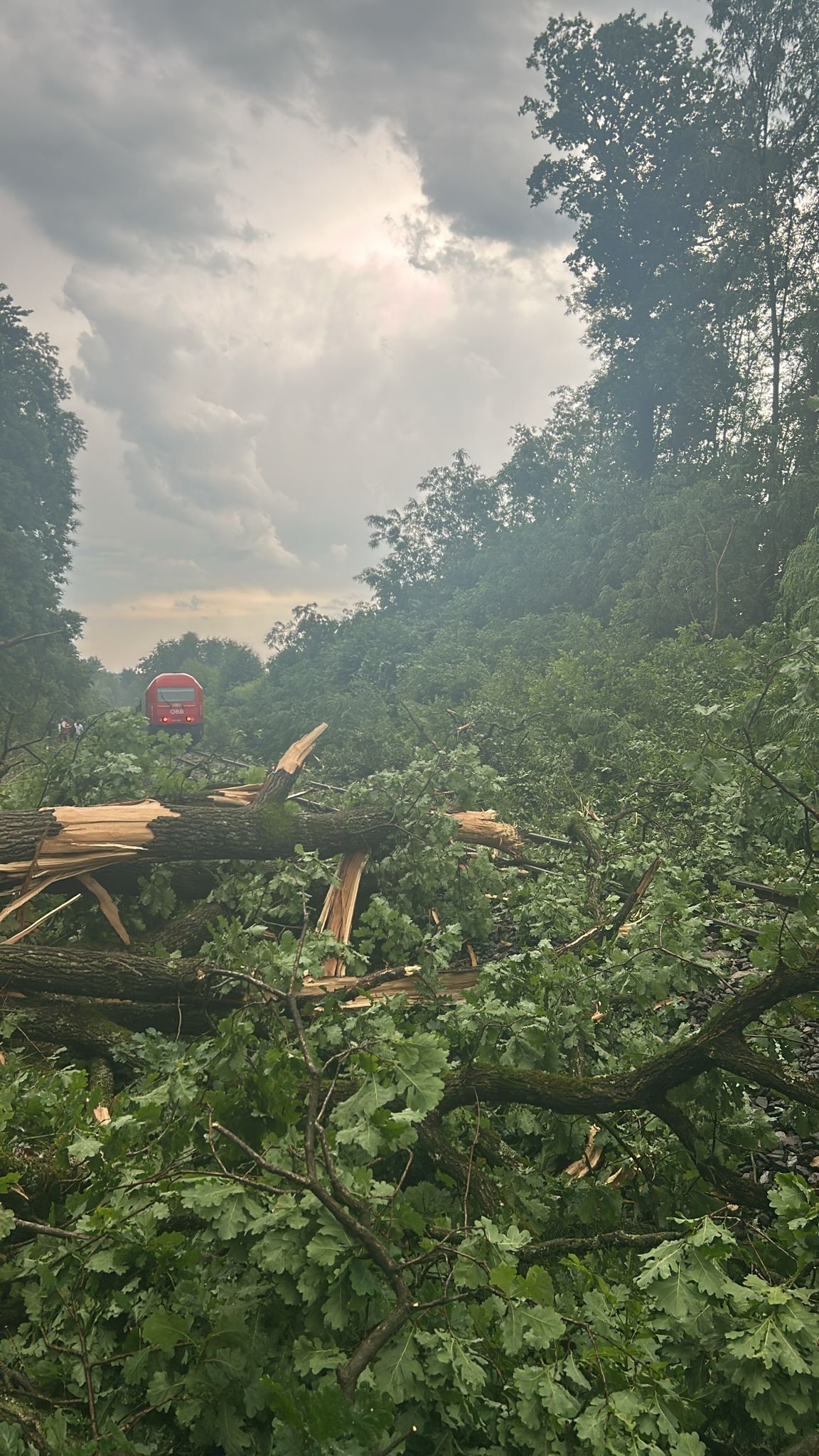 In Nestelbach bei Graz ist ein Zug entgleist.