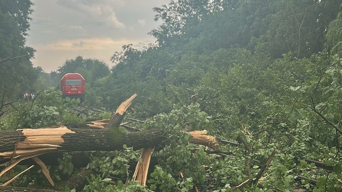 Zug in der Steiermark entgleist