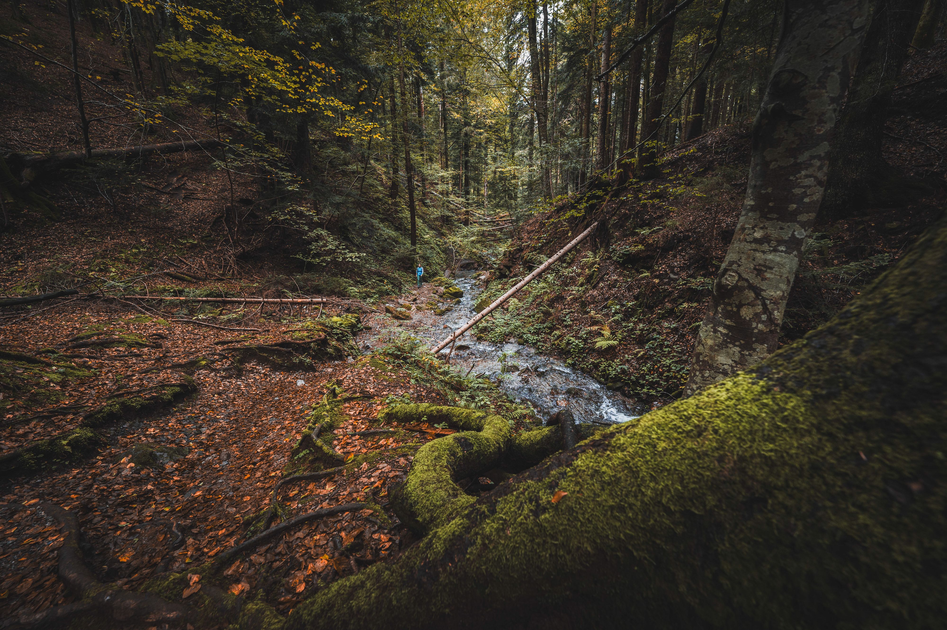 Der Unfall passierte am Donnerstag in der Heiligengeistklamm.