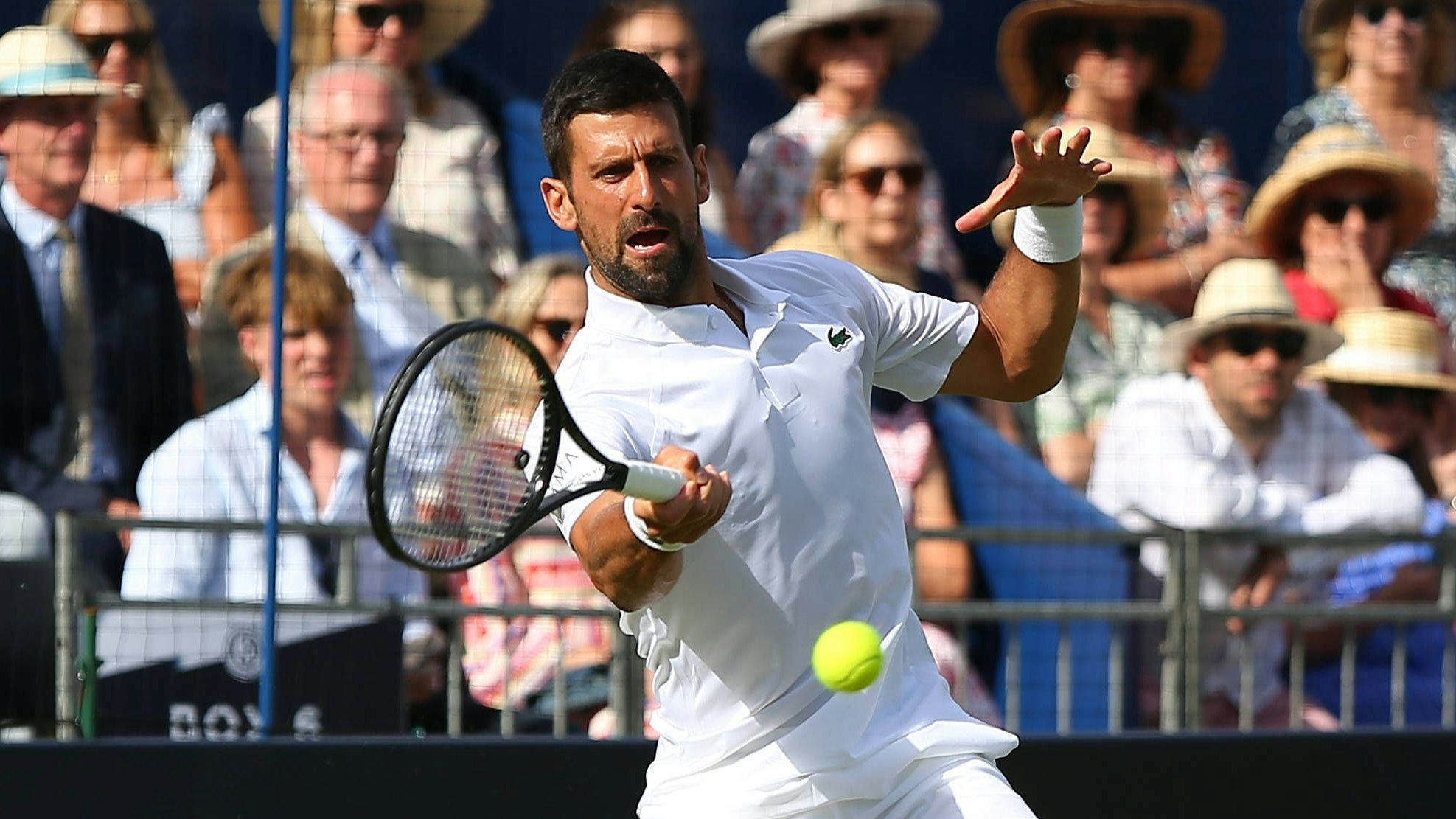 Novak Djokovic spielt sich warm.