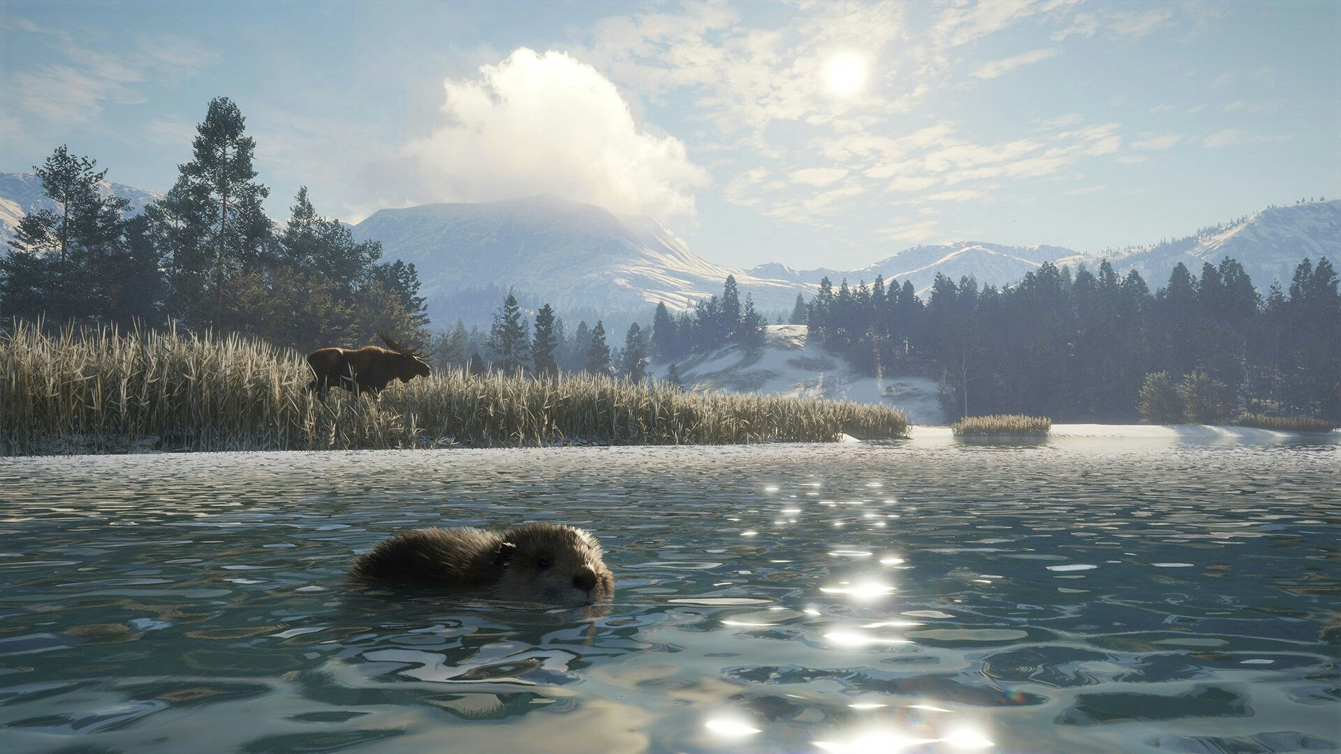 Heute.at - theHunter lädt ein – willkommen in Albertas Wildnis