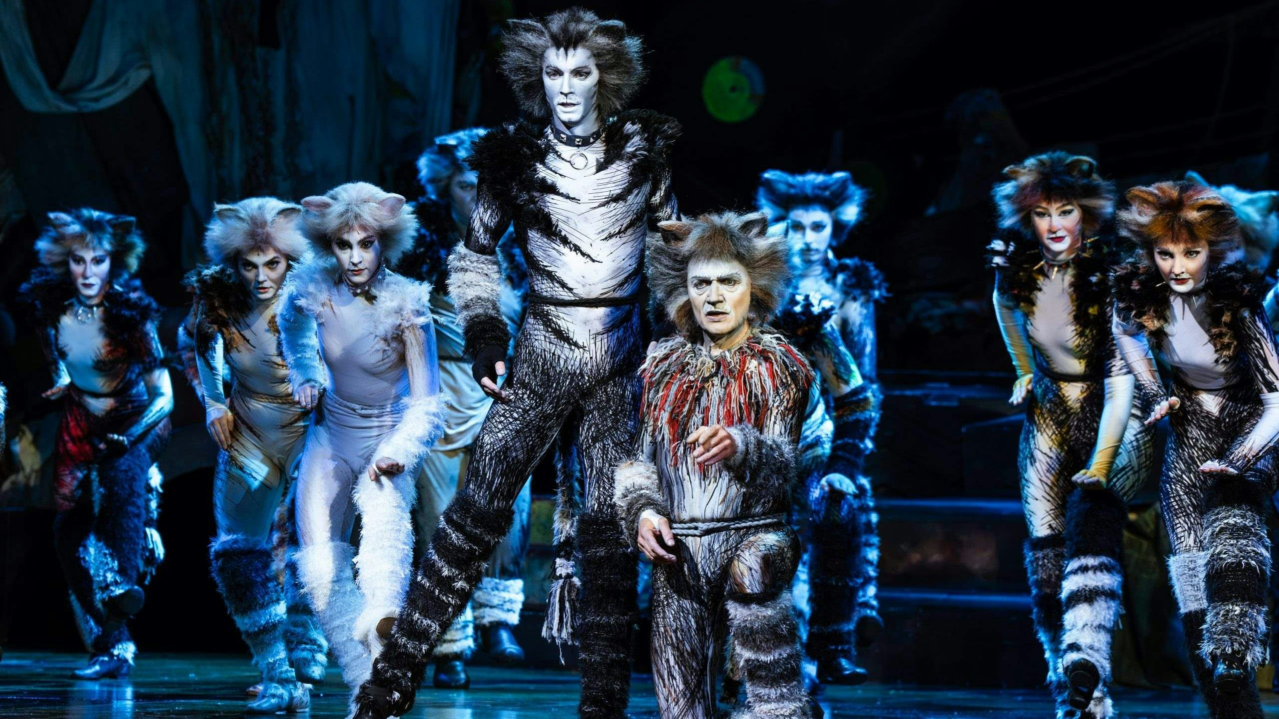 Heute.at - Heute verlost 1x2 Karten für Cats-Musical in Linz