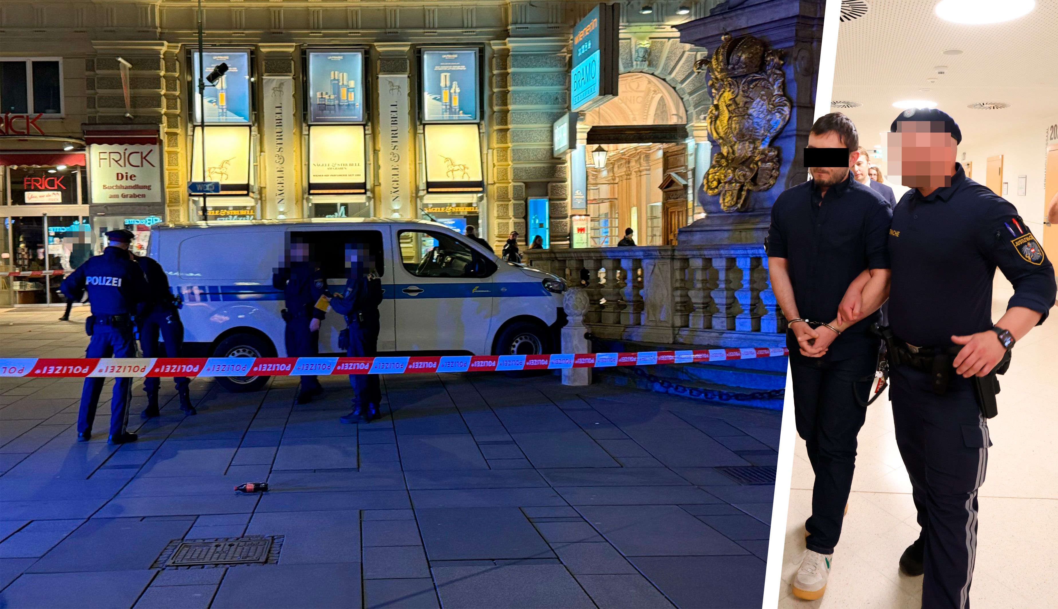 Der Lenker raste mit dem Kleinbus in die Pestsäule, löste Terror-Alarm und einen riesigen Polizeieinsatz in der Wiener City aus.