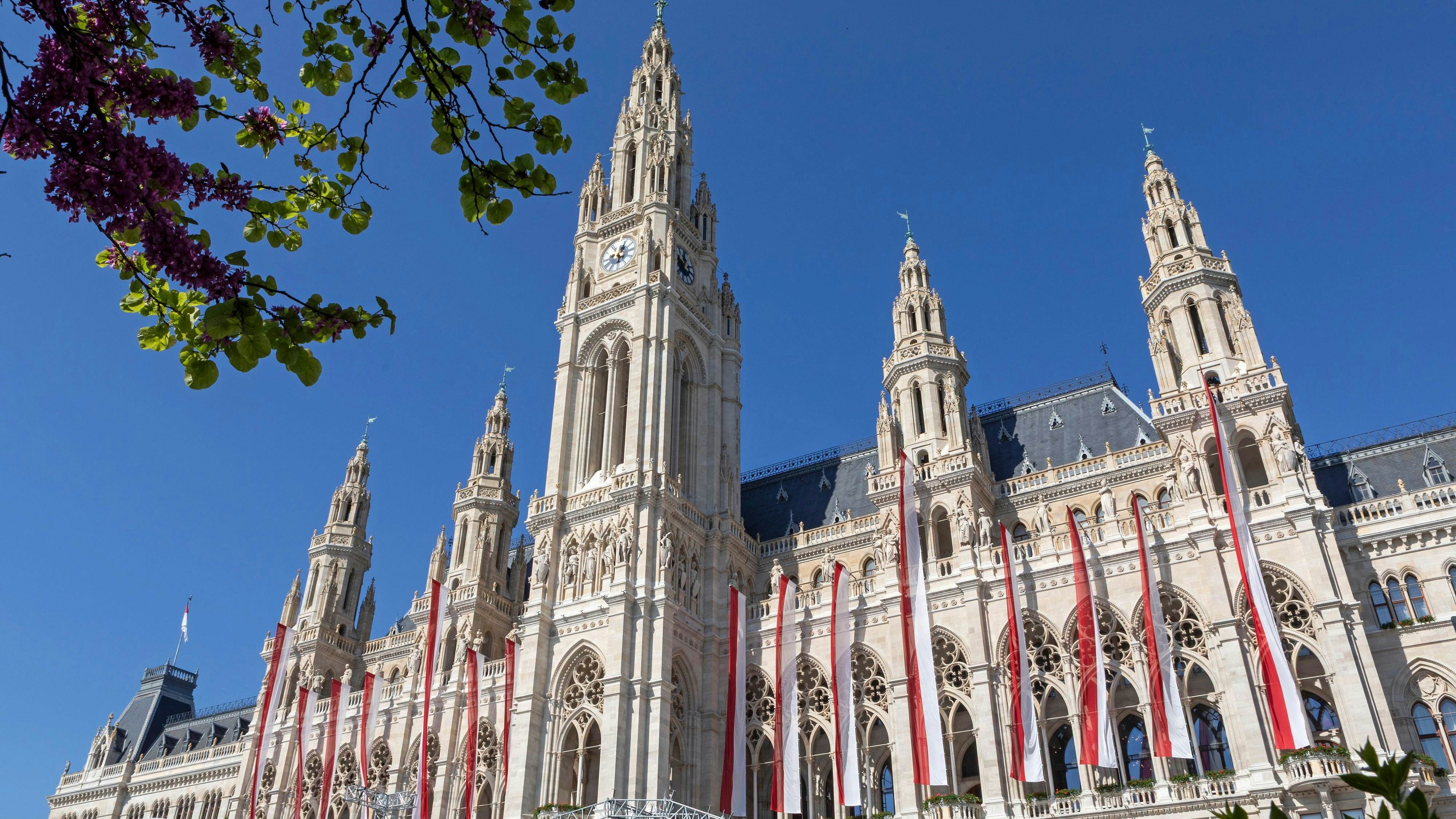 Heute.at - Wiener Elektro Tage 2025: Zehn Premieren und 50 Modelle