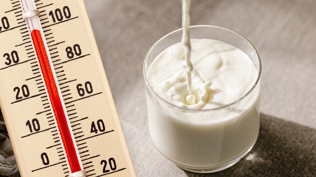 Milch versorgt den Körper zwar nicht mit mehr, dafür jedoch effizienter mit Flüssigkeit.