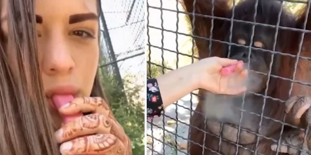 Anastasia Luchkina lässt den Affen am Vape ziehen.