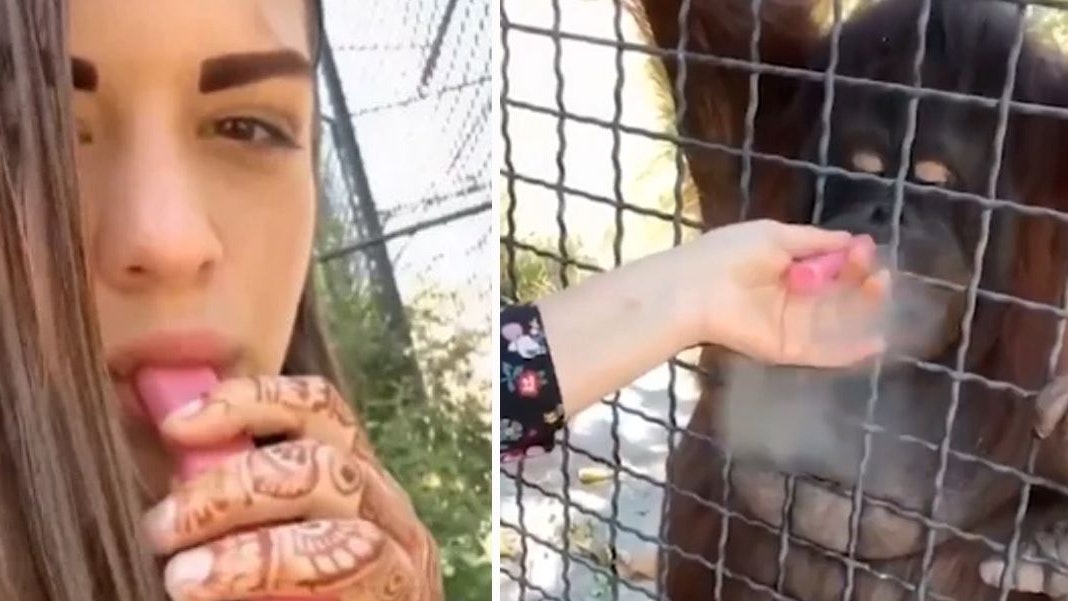 Anastasia Luchkina lässt den Affen am Vape ziehen.