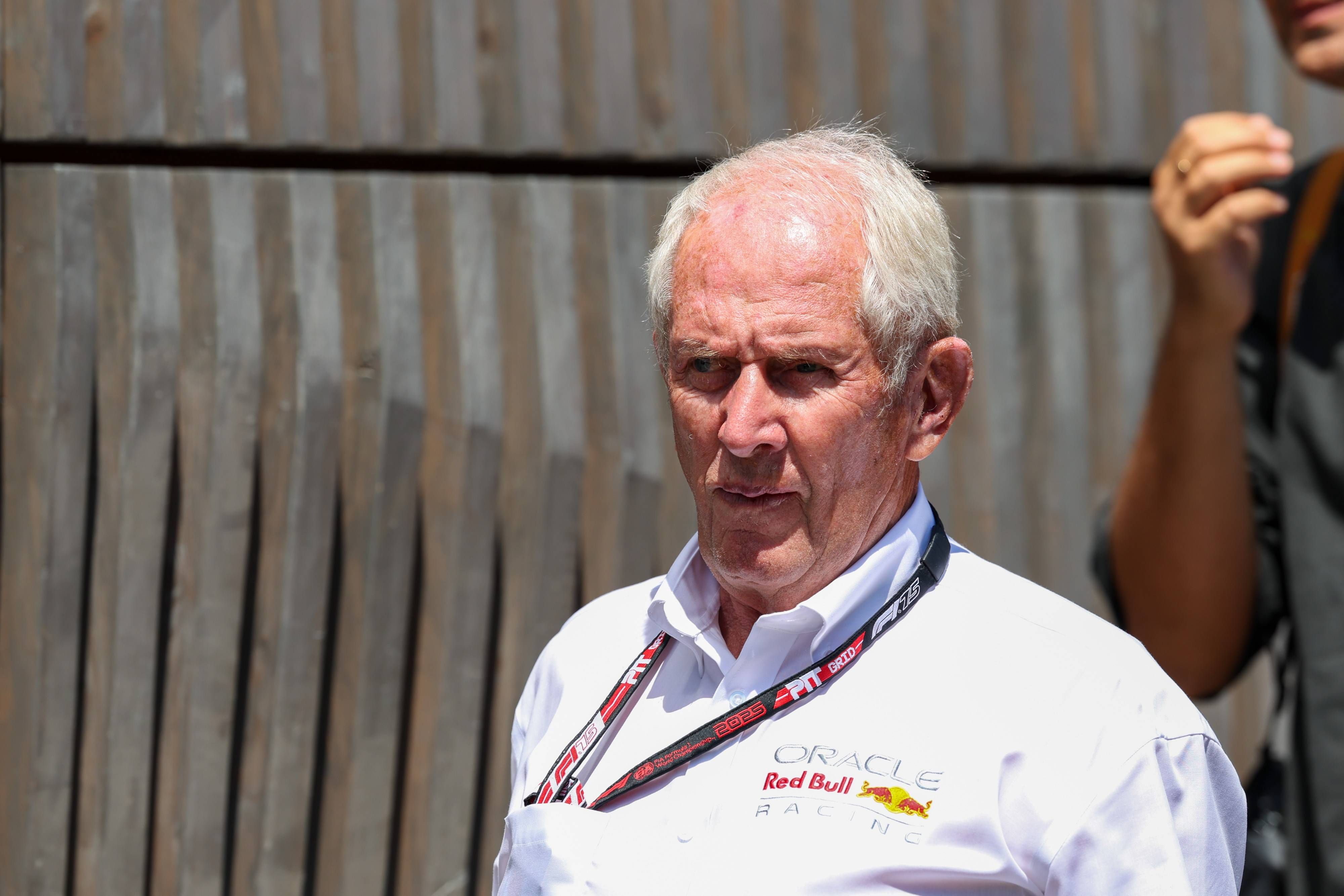 Red-Bull-Berater Helmut Marko. 