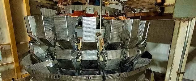 Der Ofen war ausgeschaltet, als der Arbeiter darin eingeklemmt wurde. In Panik wählten seine Kollegen umgehend den Notruf (Bild: Maschine in der Gilster-Mary Lee Cereal Plant).