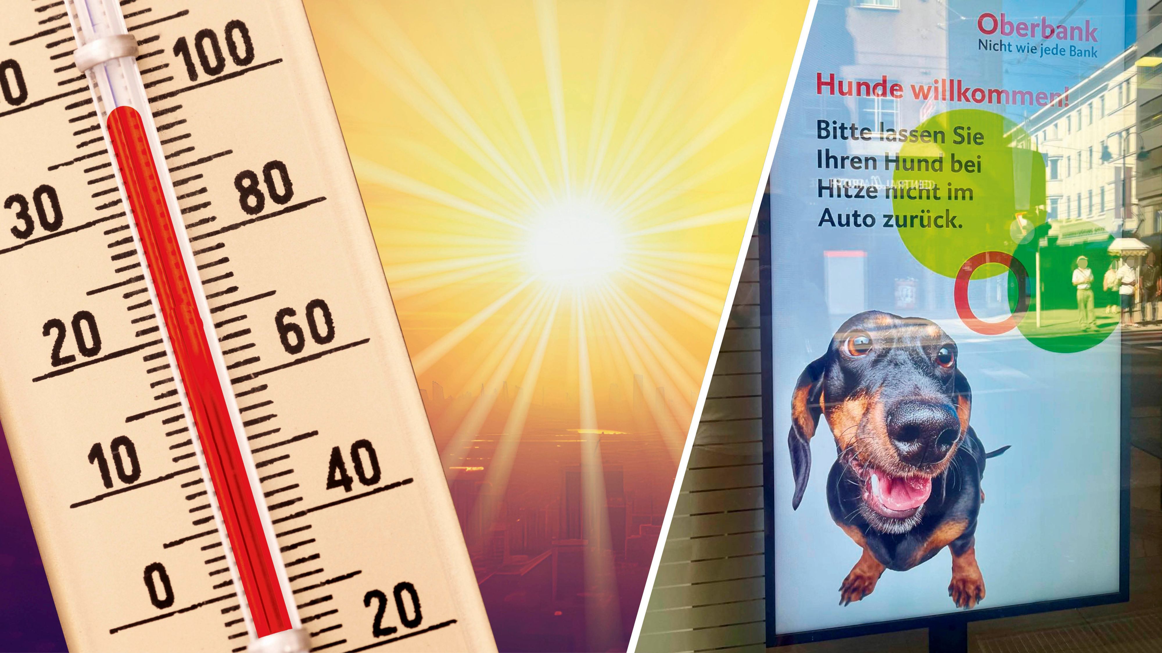 Eindringliche Warnung bei einer Linzer Oberbank-Filiale angesichts der extremen Temperaturen