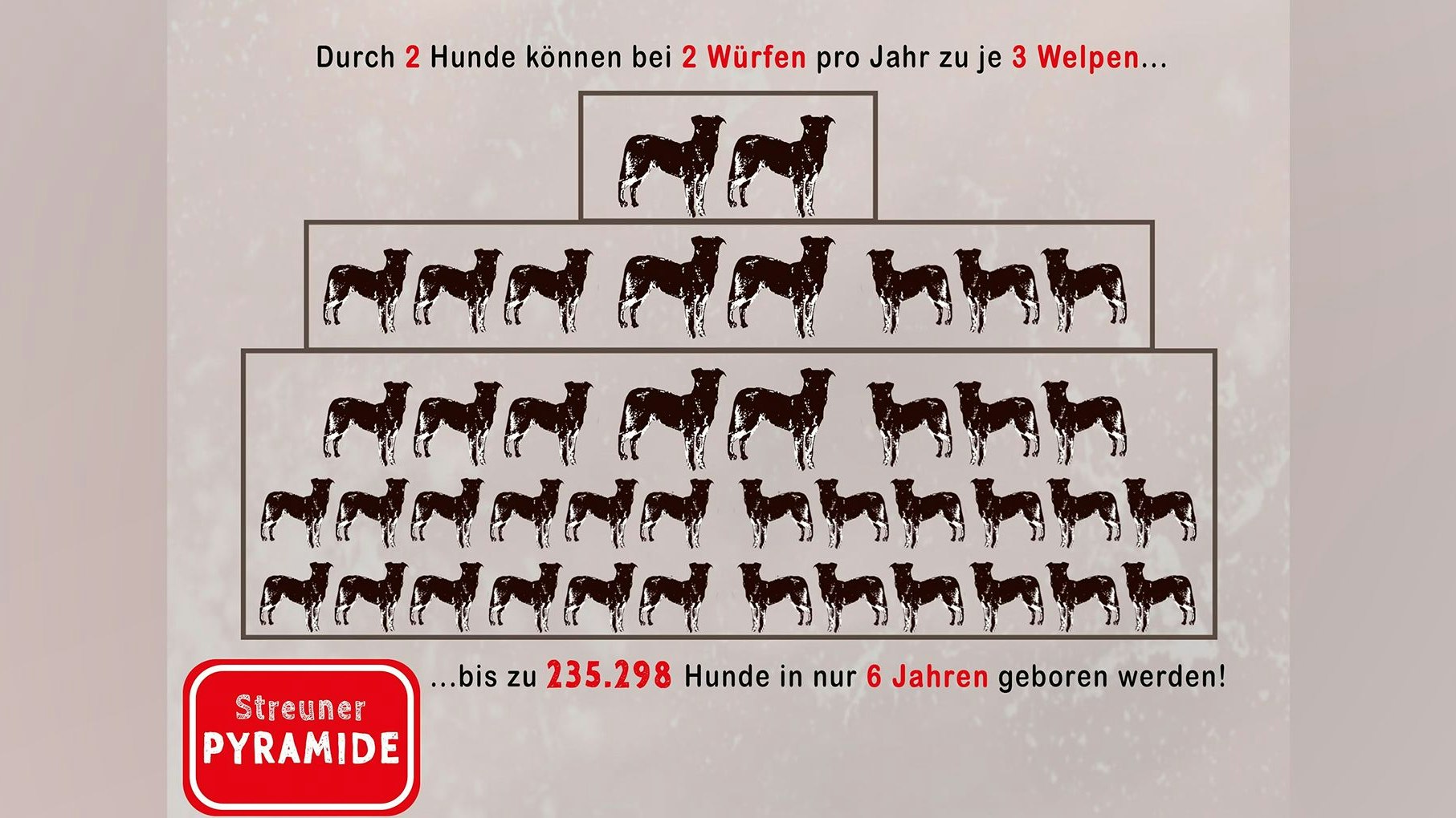 Hier wird sehr genau verdeutlicht, weshalb die Kastration die einzig nachhaltige Lösung gegen die Streunerpopulation darstellt.