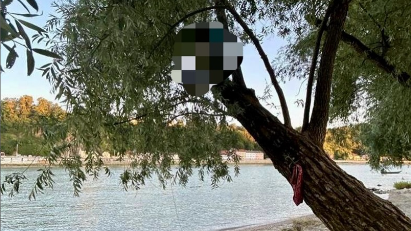 Der Mann (28) kletterte am Abend auf einen Baum und konnte nicht mehr selbst herunter.