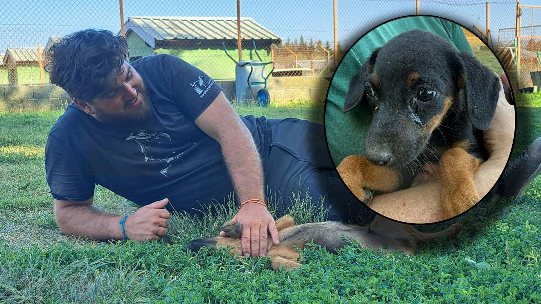 Heute.at - Tierschutz Austria kastriert 200 Hunde in vier Tagen