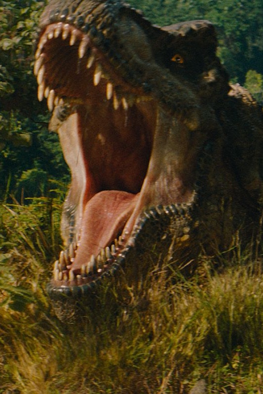 Toll animiert, aber sonst nicht viel los: "Jurassic World: Die Wiedergeburt", Teil 7 der Saga, startet diese Woche