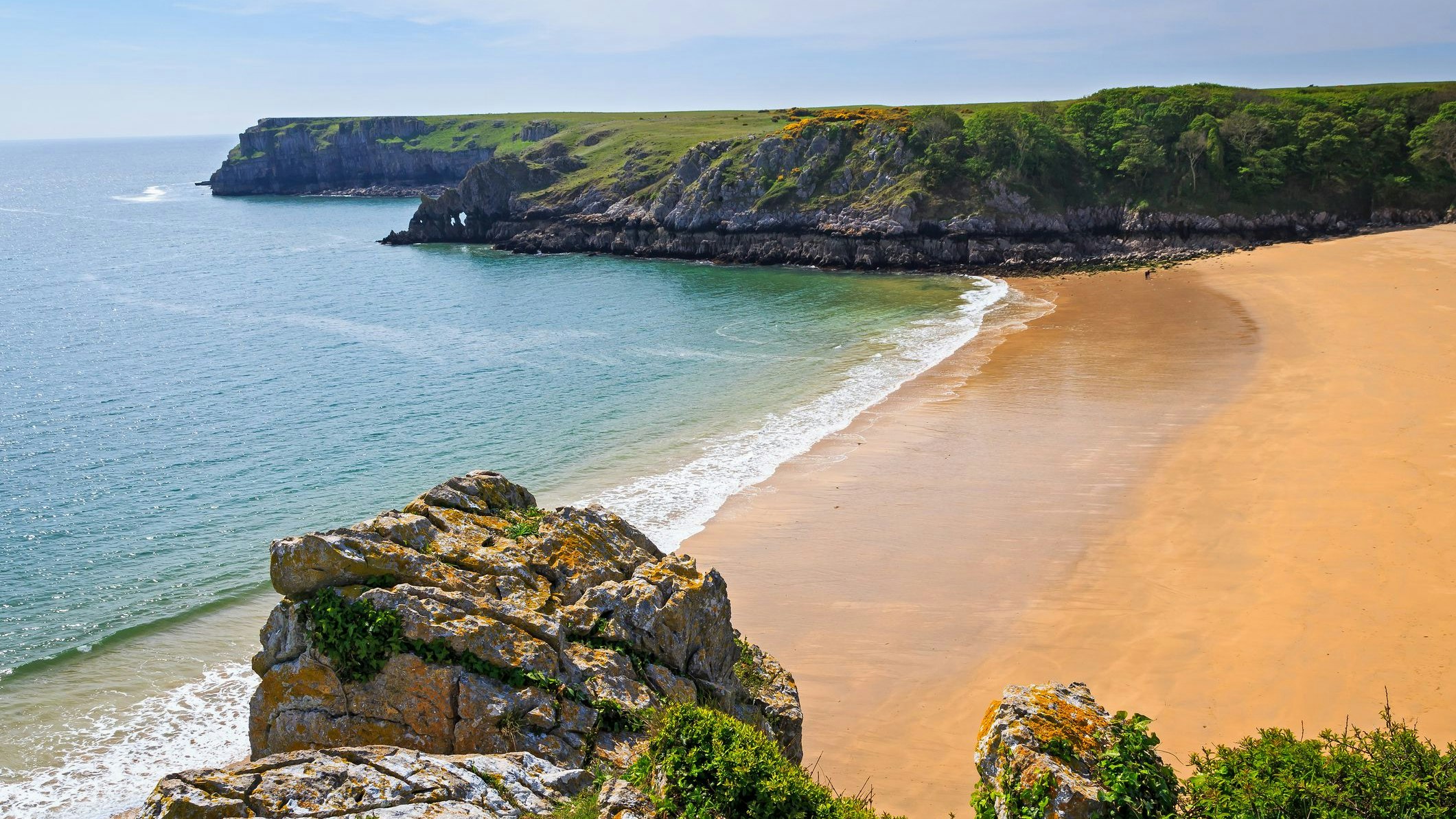 Overlooking the stunning beach at Barafundle Bay on the Pembrokeshire coast of South Wales UK Europe