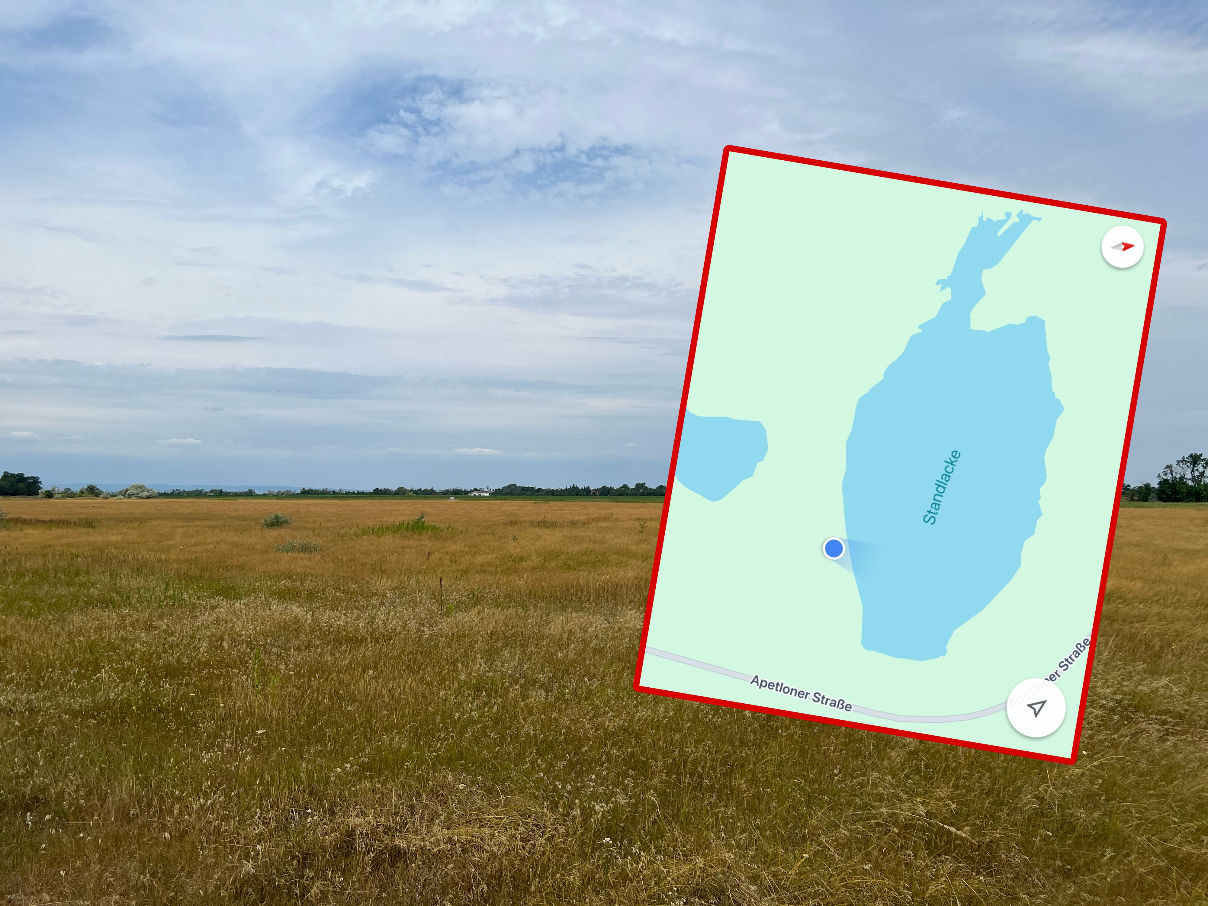 Auf Google Maps ist die Standlacke bei Apetlon noch vollständig als Wasserkörper eingezeichnet. Doch die Realität sieht ganz anders aus.