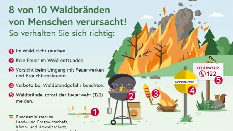 Tipps, wie man sich gegen gefährlich Waldbrände wappnet