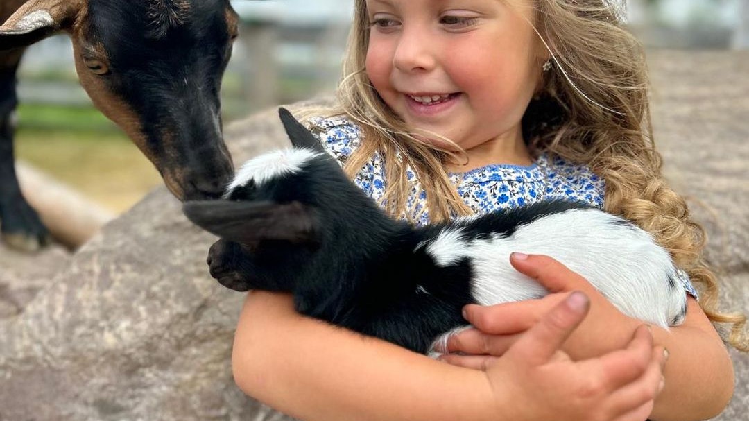 Heute.at - Dinos, Kängurus, Skytrail und Batmobil