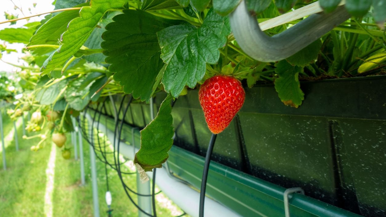 US-Unternehmen verlangt Mondpreise – mit Erfolg