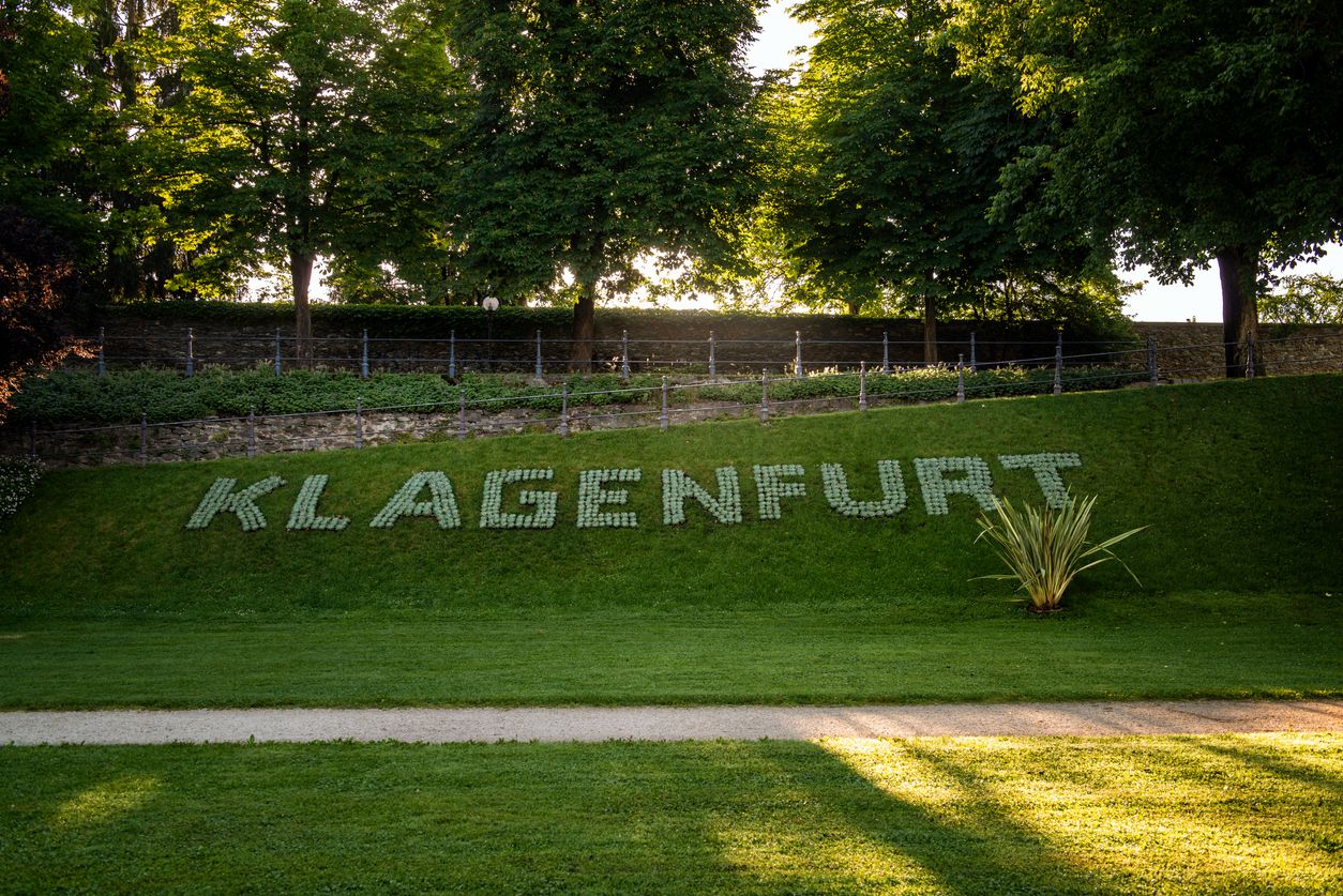 Im Gebüsch wurden Knochen gefunden. (Symbolbild)