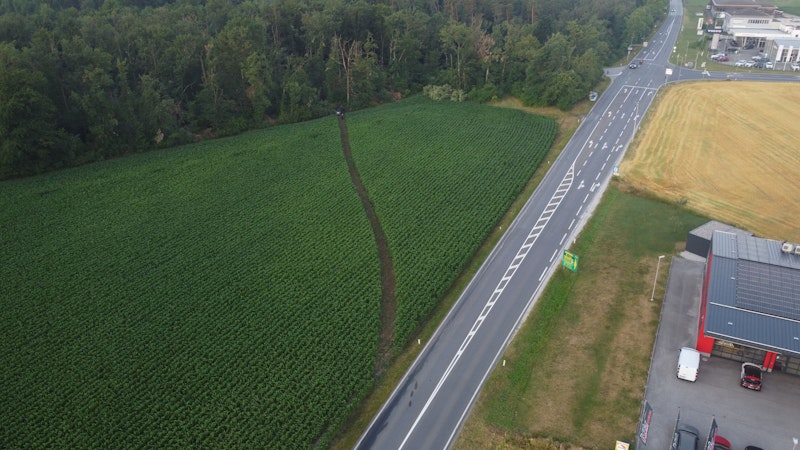 Der Lenker kam auf der Flucht vor der Polizei von der Straße ab.
