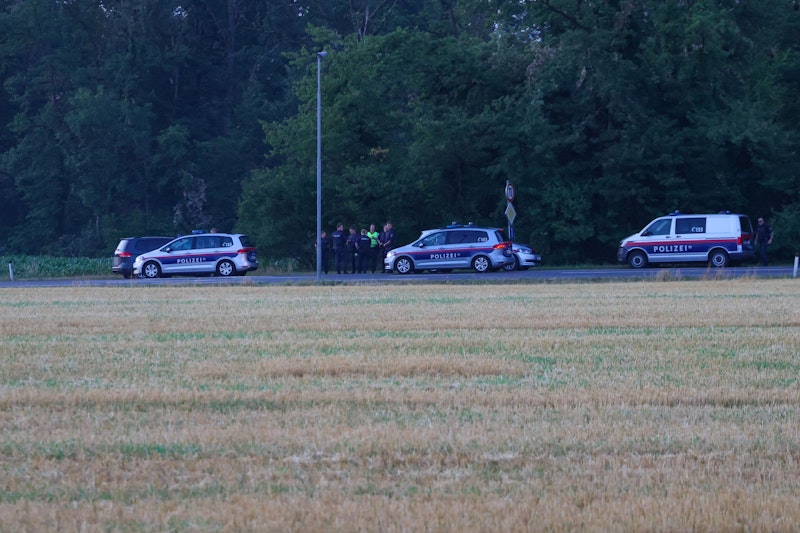 Der Lenker kam auf der Flucht vor der Polizei von der Straße ab.