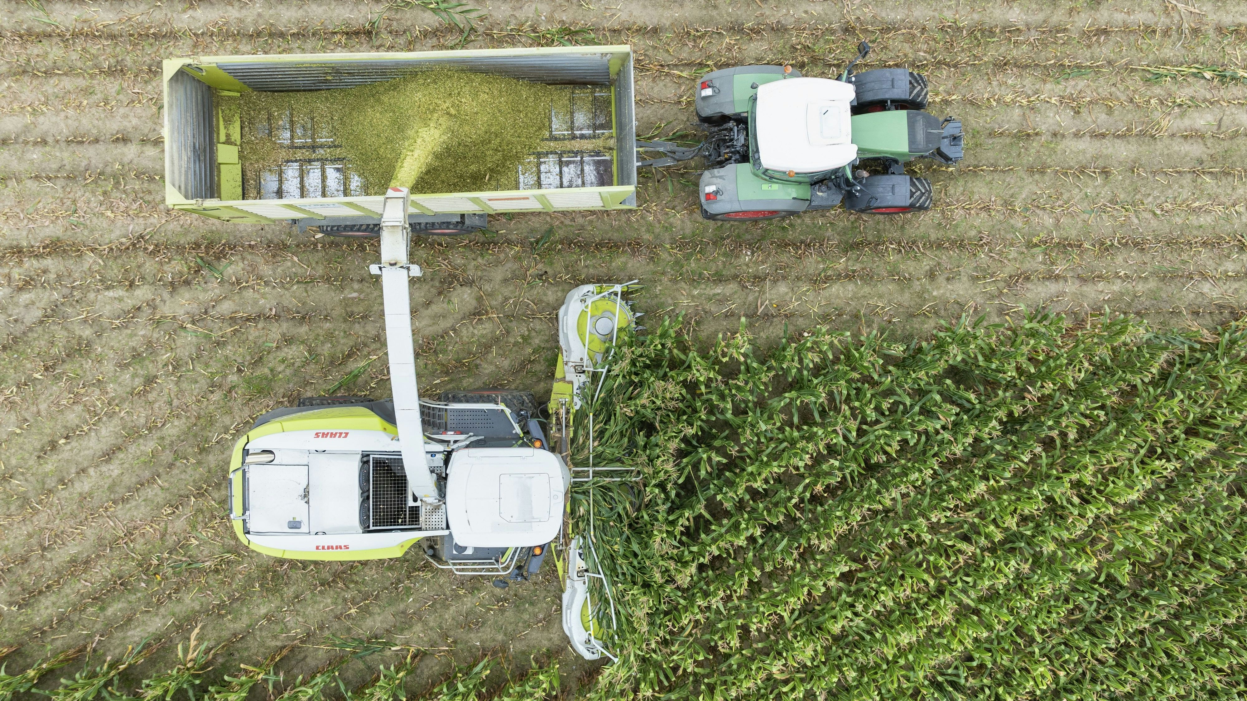 Niederösterreichs Landwirtschaft profitiert von Geldern aus der EU.
