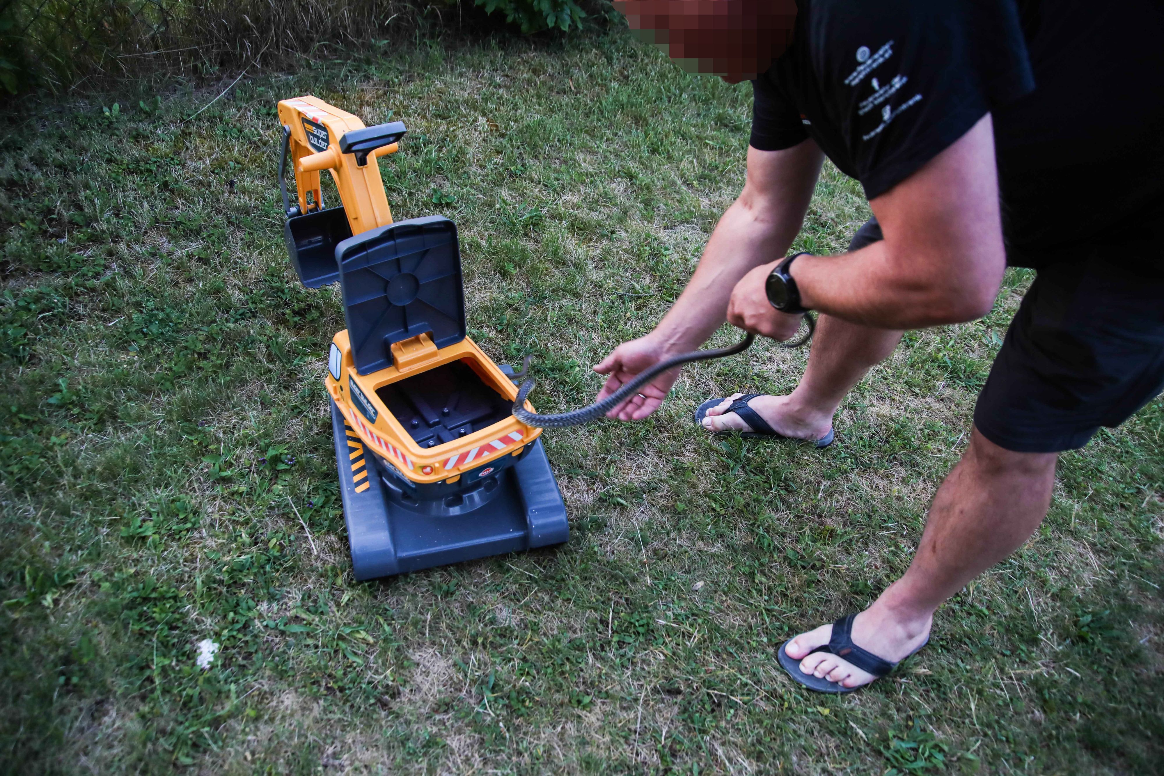 Skurriler Unterschlupf: Die Äskulapnatter hatte es sich in einem Spielzeugbagger gemütlich gemacht.