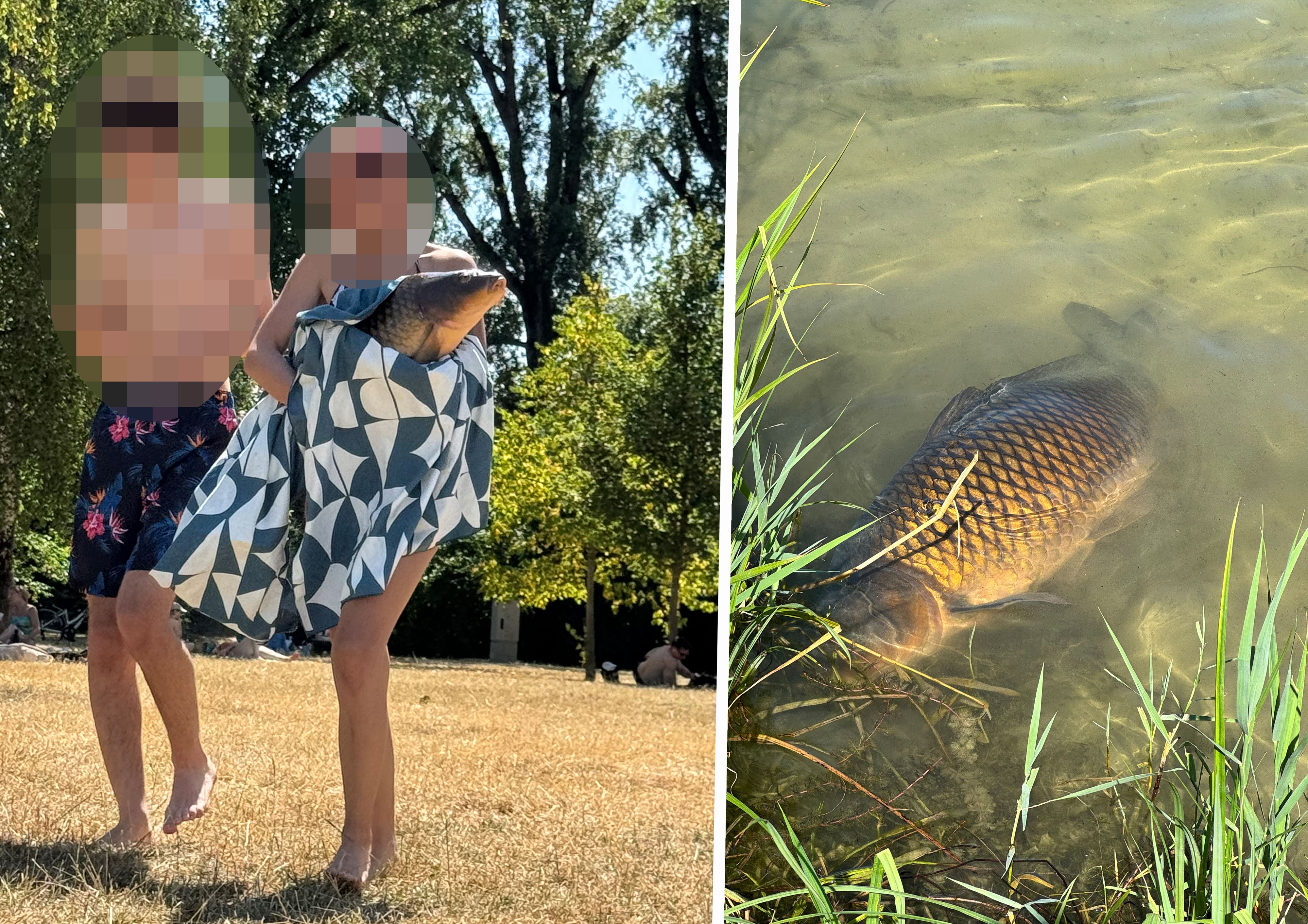 Pärchen posiert mit Karpfen im Strandbad Alte Donau. Wenig später trieb der Fisch leblos im Wasser.