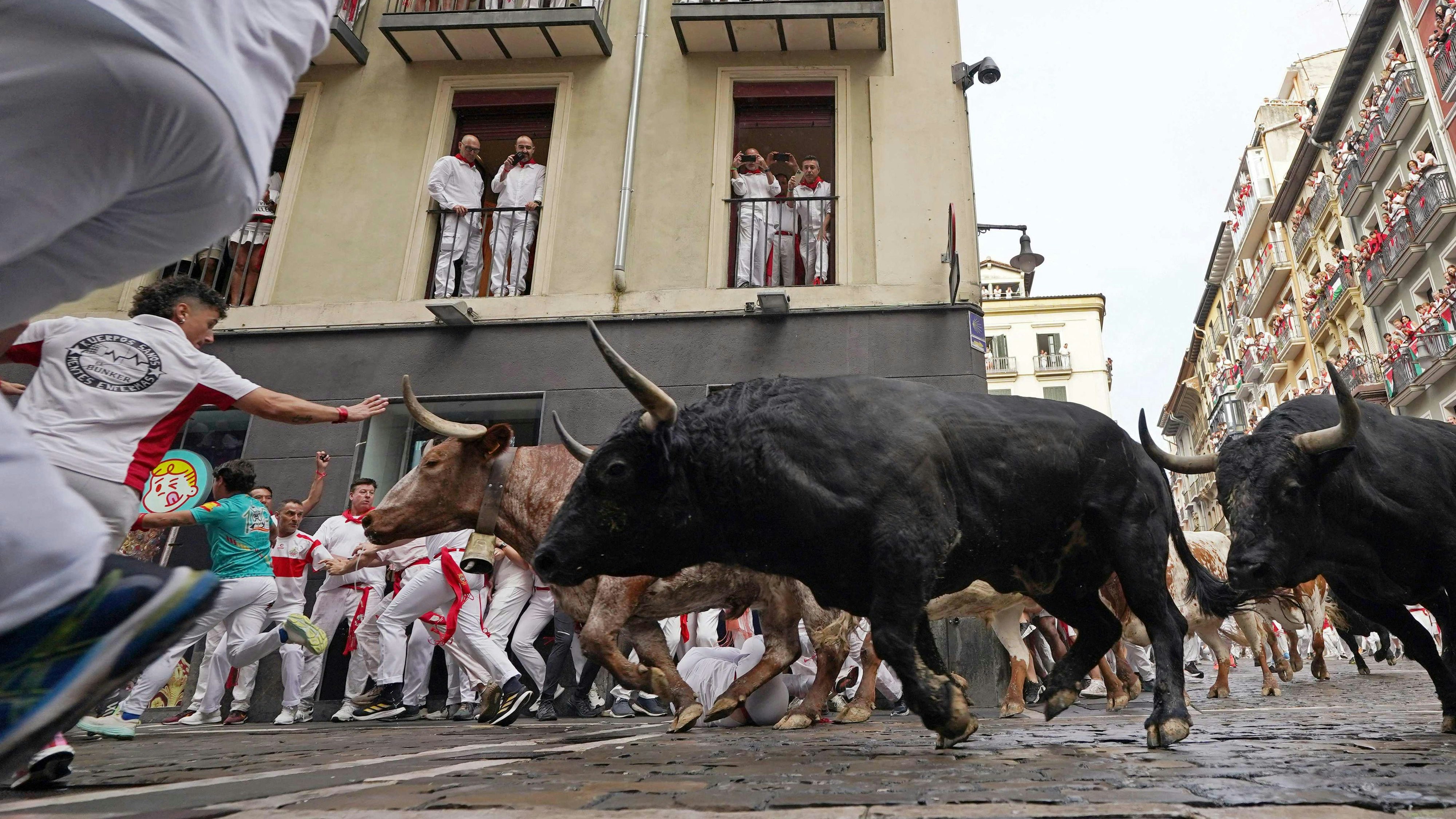Heute.at - Stierhatz in Pamplona – mehrere Verletzte am ersten Tag