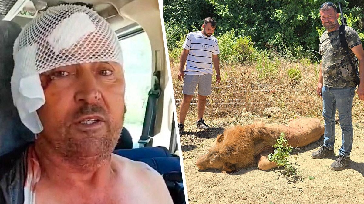 Heute.at - Attackierter Arbeiter würgt Löwe Zeus in die Flucht