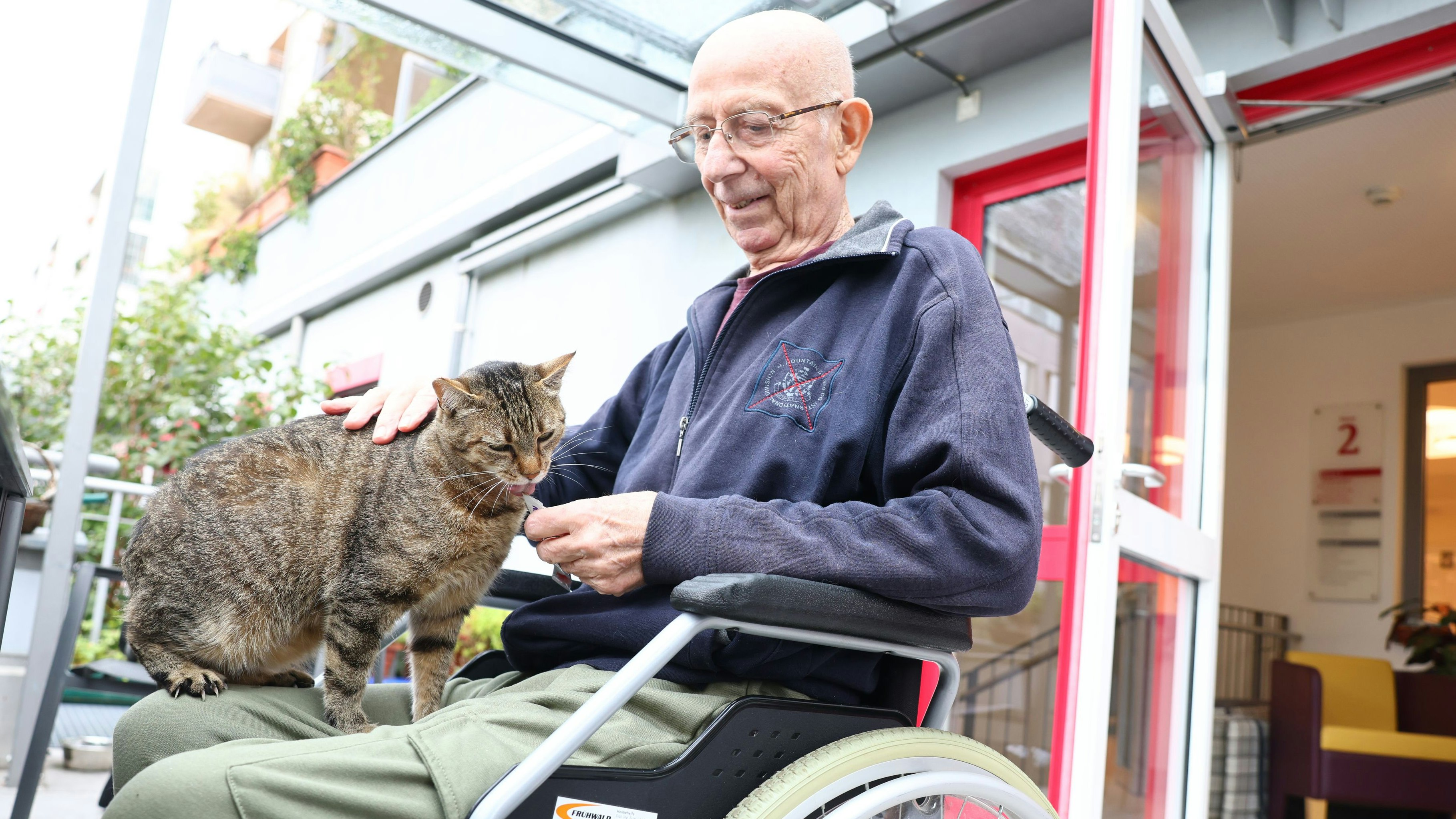 Heute.at - Hospiz-Katzen – Malina und Mila spenden Patienten Trost