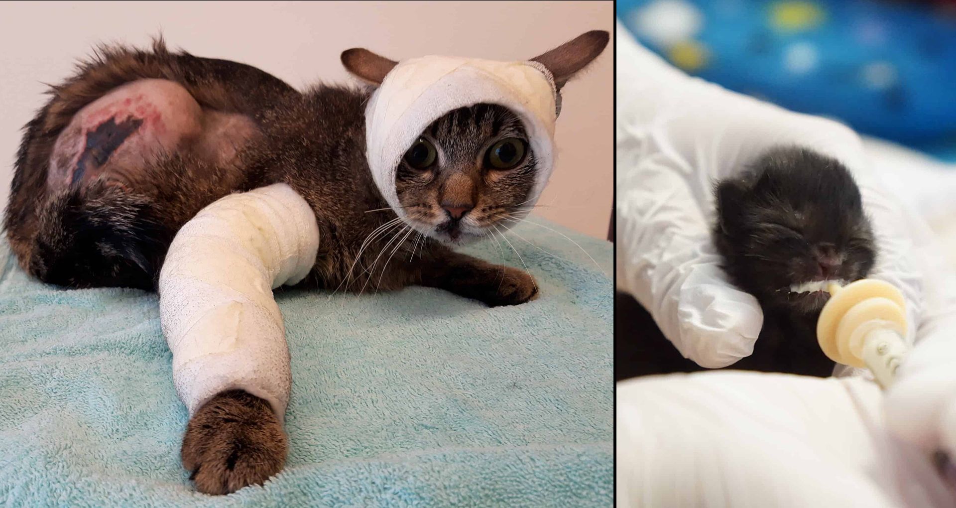 Links siehst du eine 