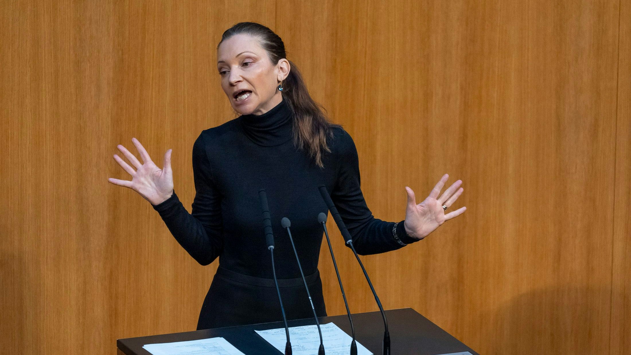 FPÖ-Außenpolitik-Sprecherin Susanne Fürst im Nationalrat, Archivbild 2024.