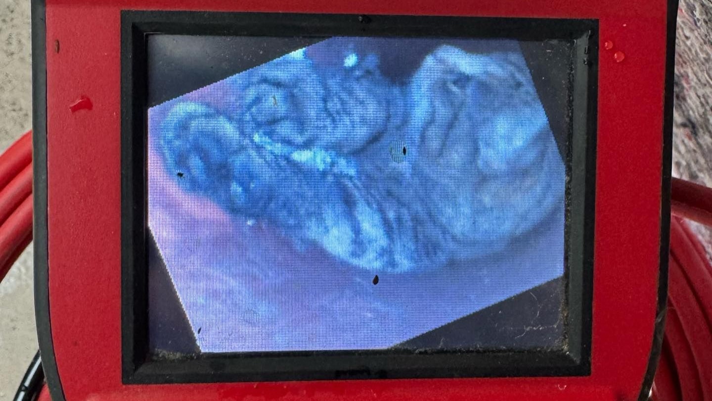 Mit der Rohkamera konnte sich die Tierhilfe Gusental ein genaues Bild machen.