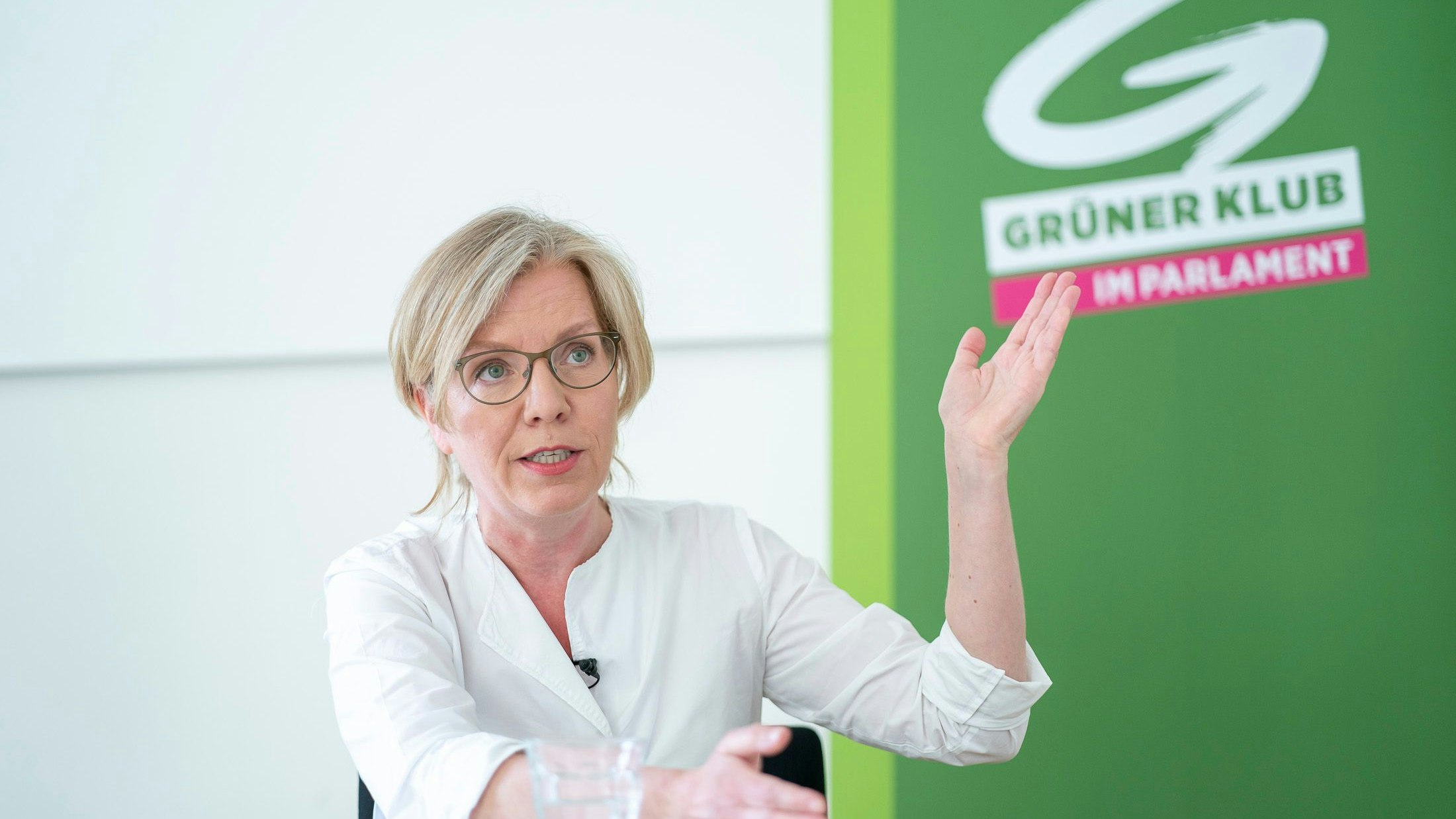 Heute.at - Grüne beinhart: Regierung kneift beim Waffenrecht